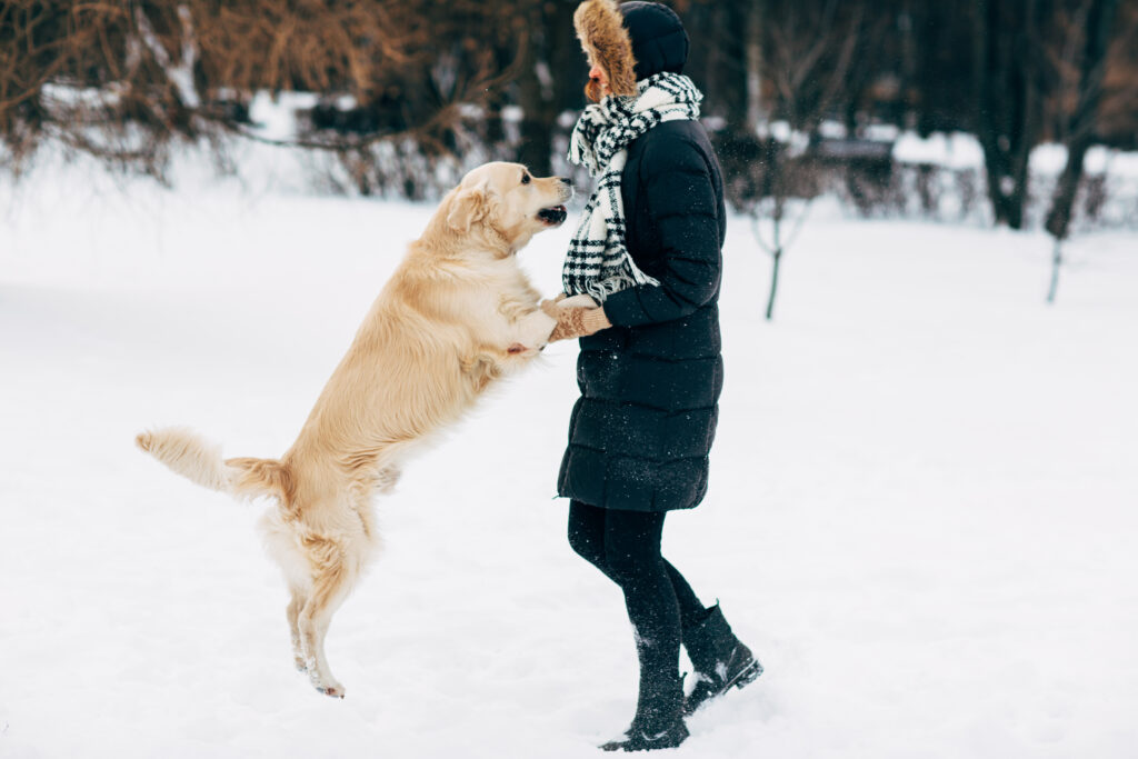 Essential Winter Care Tips to Keep Your Dog Cozy and Safe!